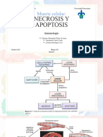 INMUNOLOGÍA. Necrosis y Apoptosis