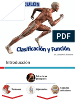 Lesiones Traumaticas 01 Primera Clases