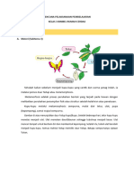 Materi Kelas 3 