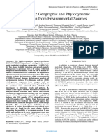 SARS-CoV 2 Geographic and Phylodynamic Distribution From Environmental Sources