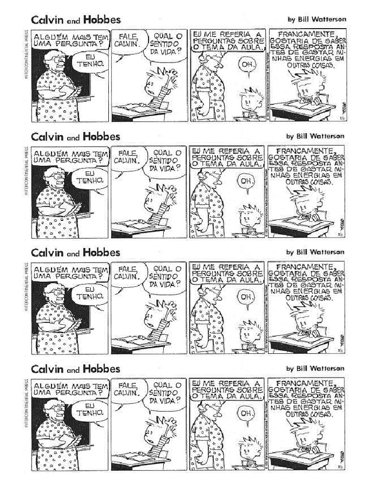 Calvin O Sentido Da Vida PDF