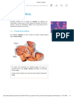 U9.2. Los Poriferos