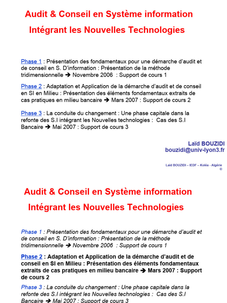 Audit & Conseil en SI Et NT Phase 2 Cas Bancaire Mars 2007 | PDF