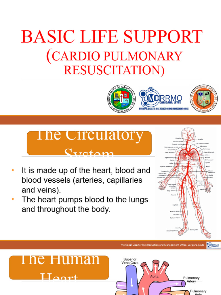 5 Basic Life Support Cpr Pdf Cardiopulmonary Resuscitation Heart
