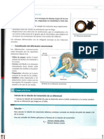 Diferencial Tema Mcmillan