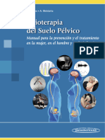 Fisioterapia Del Suelo Pelvico-M Torres