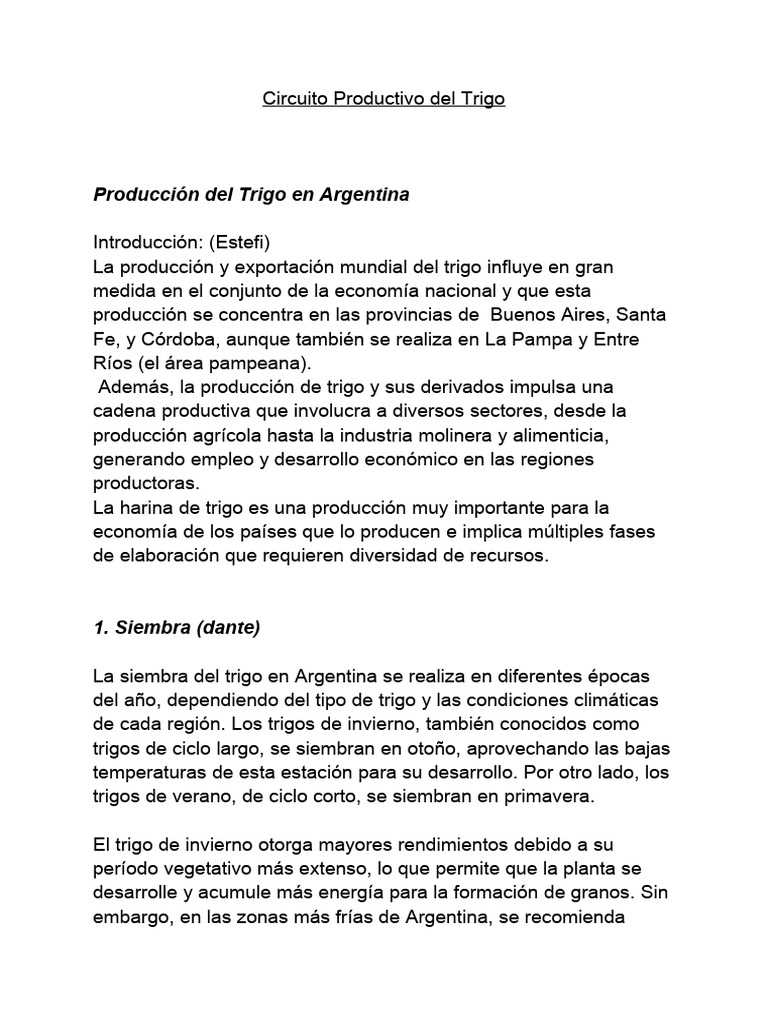 Circuito Productivo del Trigo en Argentina | PDF | Trigo | Harina