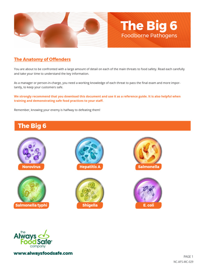 Big 6 Foodborne Pathogens Overview | PDF | Foodborne Illness | Salmonella