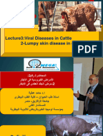 3 - Lumpy Skin Disease in Cattle Prof DR Hamed Attia