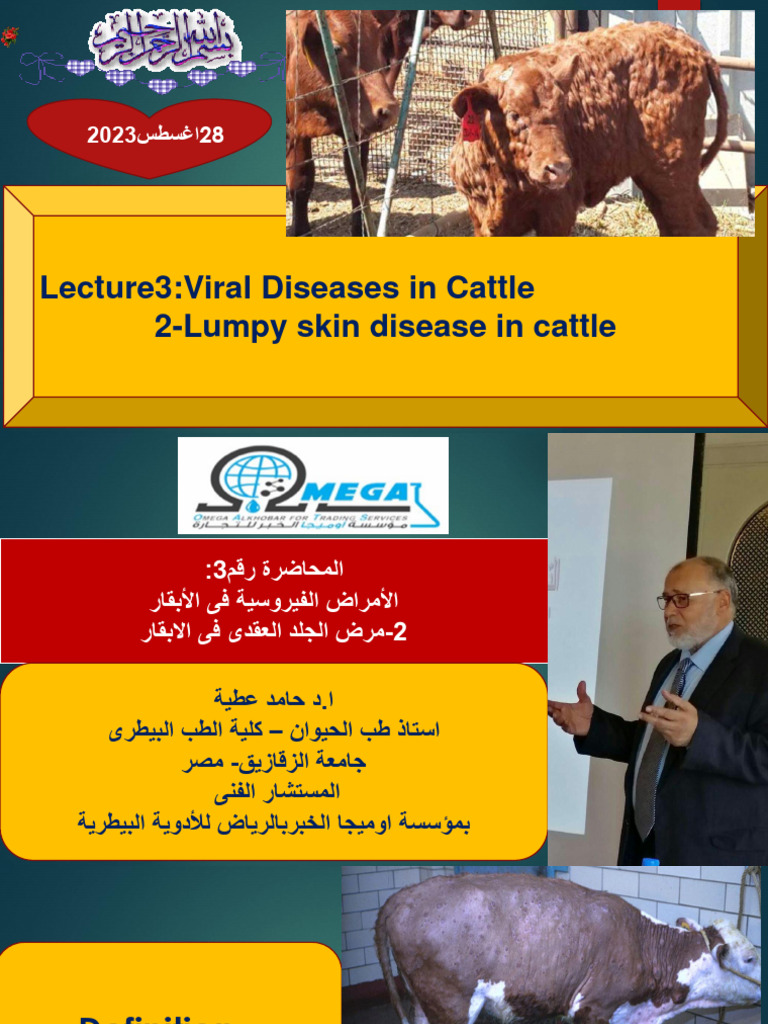 3 - Lumpy Skin Disease in Cattle Prof DR Hamed Attia | PDF