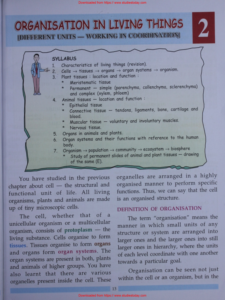Icse class 7 biology chapter 02 organisation in living things pdf
