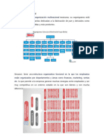 Organización Multinacional