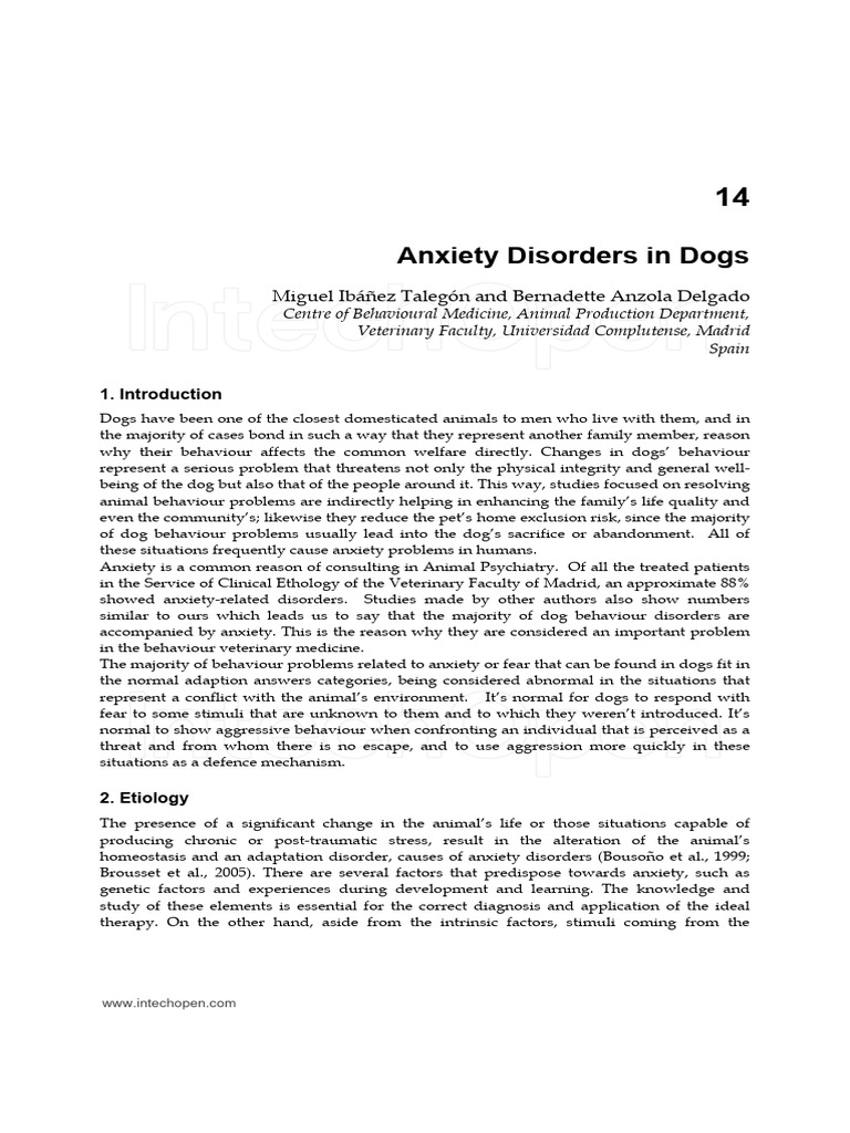 Picture of Understanding Canine Anxiety Disorders | PDF | Anxiety Disorder ...