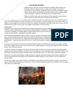 Los Incendios Forestales