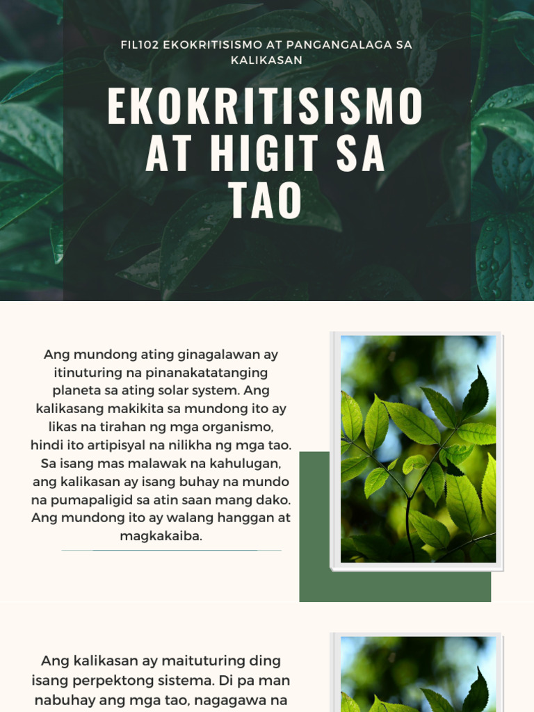 FIL102 Ekokritisismo at Higit Sa Tao | PDF