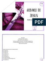 Árvore de Jesus - Caderno de Atividades 3+