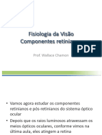 Fisiologia Da Visão Componente Retiniano e P S Retiniano