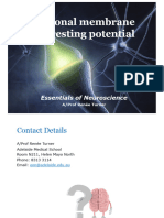 EON 2020 - Lecture 5 - Neuronal Membrane and Resting Potential - 1pp