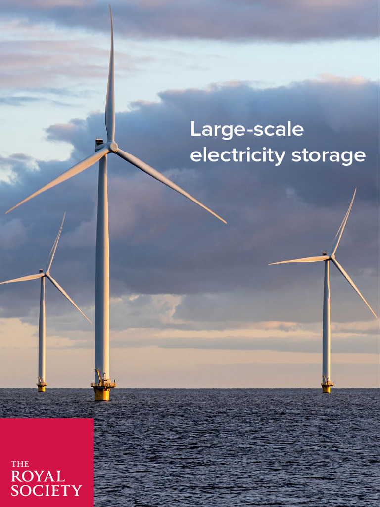 Large-Scale Electricity Storage Report | PDF | Energy Storage | Solar Power