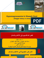 Hypomagnesemia in Sheep & Goat Prof DR Hamed Attia