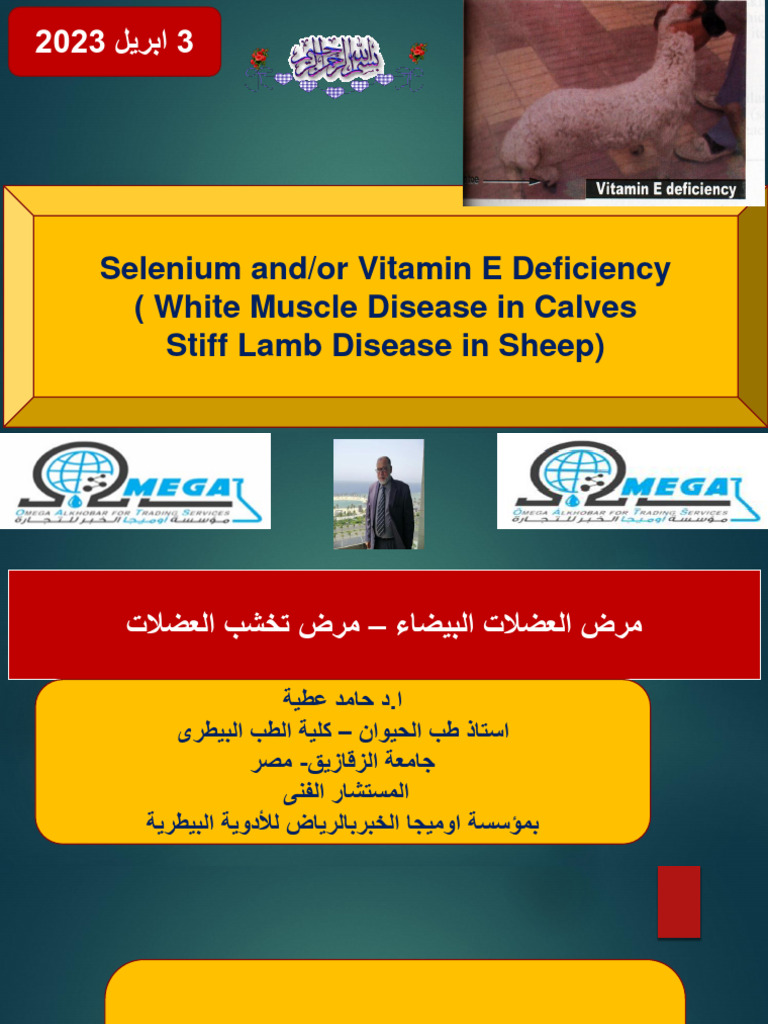 Vitamin E and or Selenium Deficiency Deficiency in Farm Animals | PDF