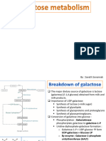 Galactose Metabolism