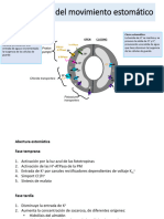 Tema 5-2 Nutricion Mineral