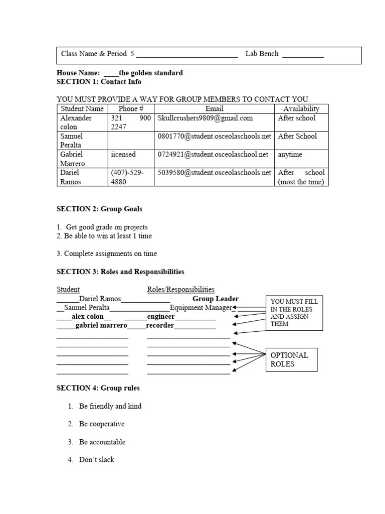 Group Project Guidelines and Roles | PDF | Career & Growth