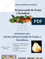 Efectos Del Procesado de Frutas y Hortalizas: Tecnologia de Productos Vegetales