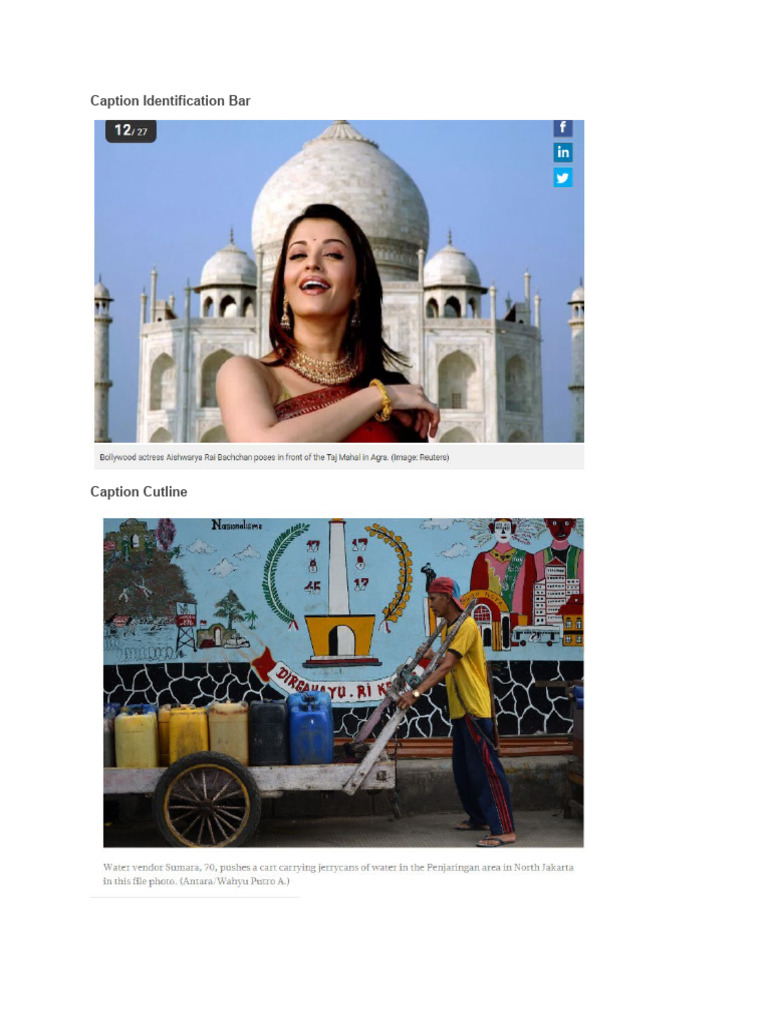 Caption Identification Bar PDF PDF