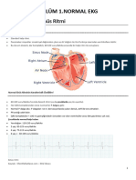 Ekg Kitabı