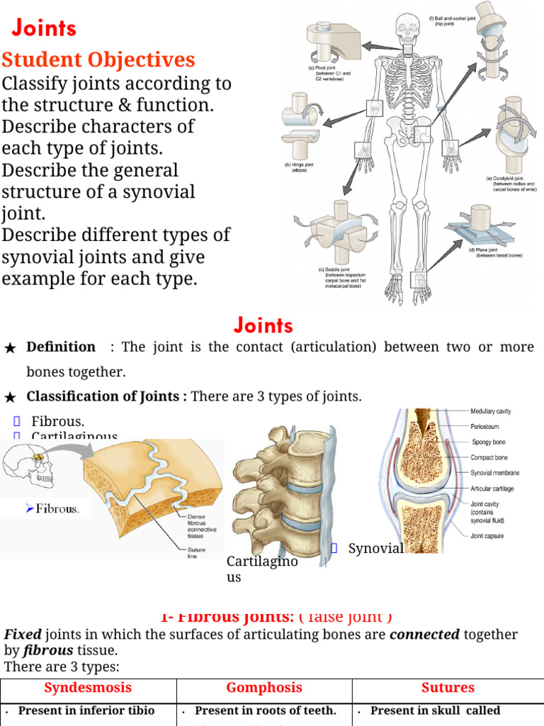 JOINT DEFINITION MEANING visual data 2