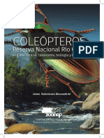 Coleopteros RN Río Clarillo 2014