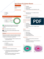 Histologia Resumo