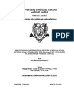 Universidad Autónoma Agraria Antonio Narro: Unidad Laguna División de Carreras Agronómicas