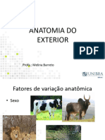 Anatomia 1 - Anatomia Do Exterior