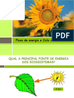 4-Fluxo Energia Materia Sucessoes Ecologicas