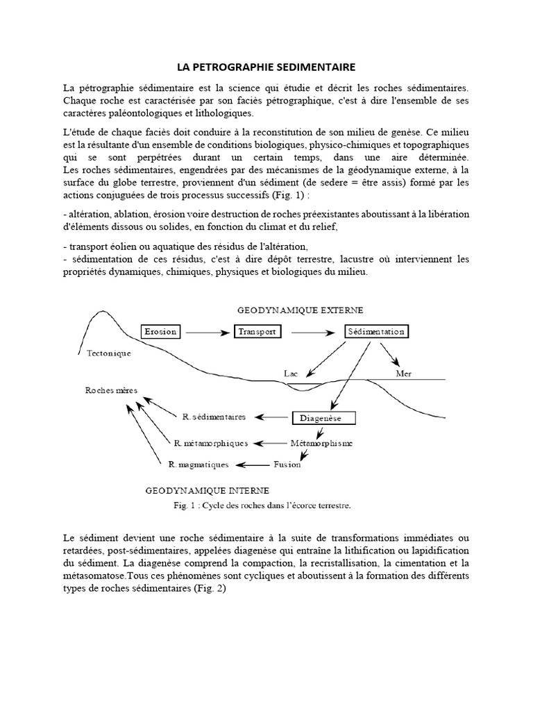 Cours Petrographie Sedimentaire | PDF | Grès | Roche sédimentaire