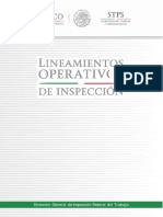 Lineamientos de Inspeccion