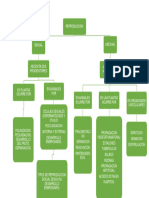 Mapa Conceptual