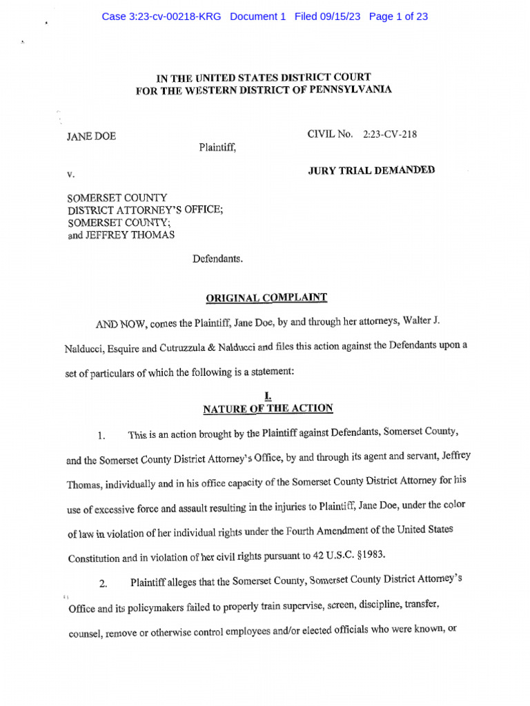 Federal Civil Cases Examples