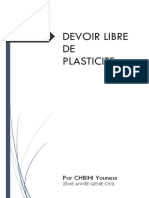 DL Plasticité N - 1