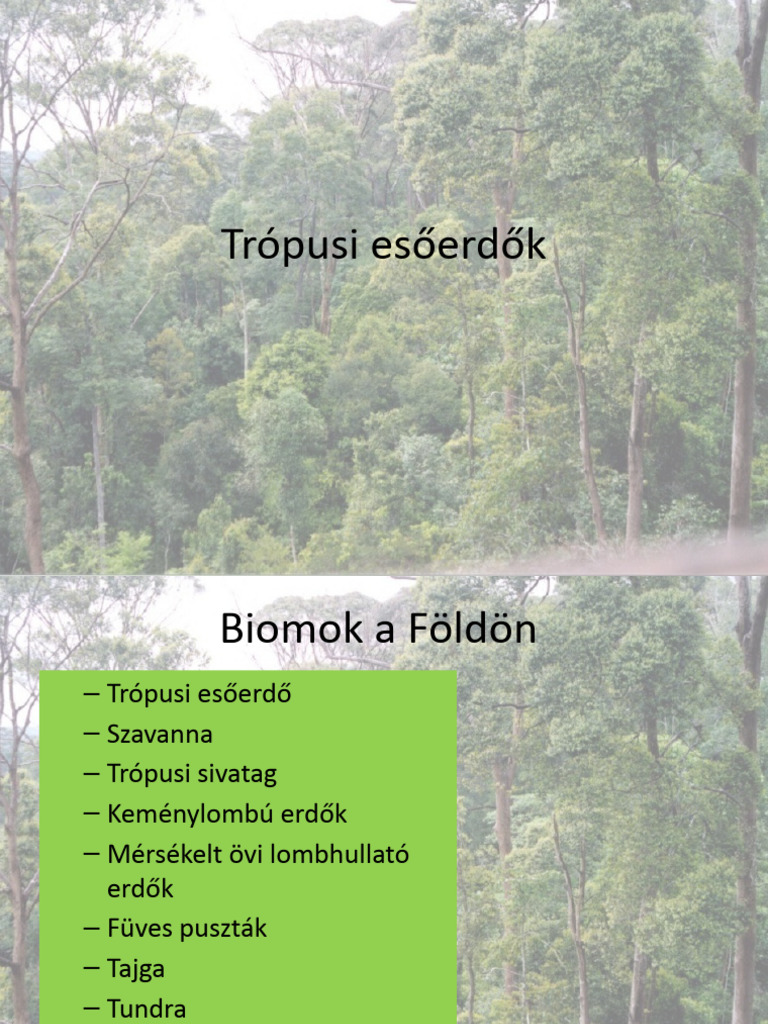 Esoerdo Jo | PDF