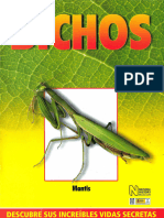 15 Bichos - Mantis