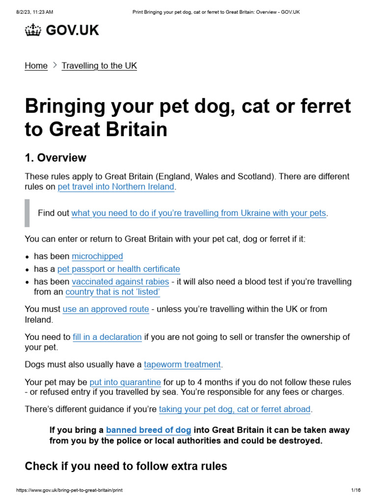 Snapshot of Domestic Pet Dog Travel Rules