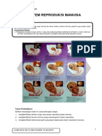 XI-UKBM 3.10 Sistem Reproduksi