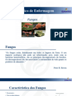 Fungos