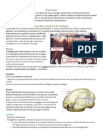 Fisiología de Rumiantes (Final)