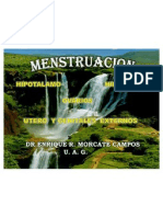 01 Menstruacion Actual 2007