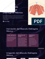 Irrigacion e Inervacion de Musculos Del Diafragma Pelvico